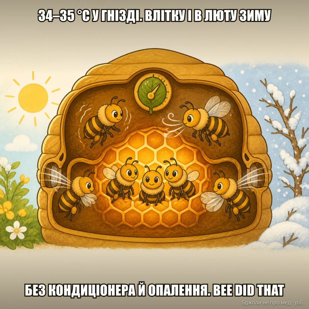 Bee did that: Завдання: тримати рівно 34–35°C у гнізді з розплодом — і влітку, і в люту зиму. Без кондиціонера. Без опалення. bee did that 🐝