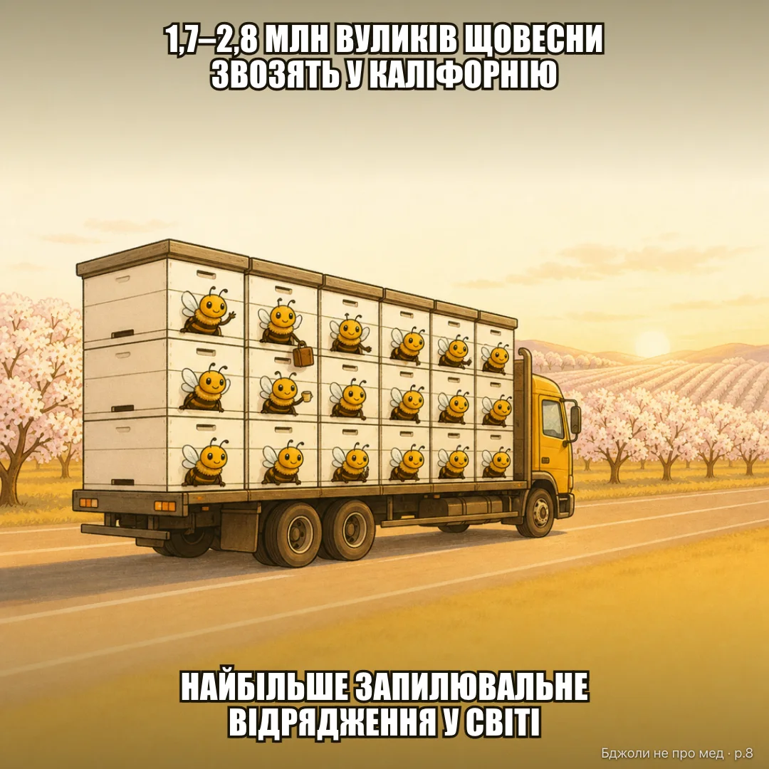 Класичний мем: КОЖНОЇ ВЕСНИ ДО КАЛІФОРНІЇ ЗВОЗЯТЬ ВІД 1,7 ДО 2,8 МЛН БДЖОЛОСІМЕЙ OFFICIAL UBER FOR BEES — НАЙБІЛЬШЕ ЗАПИЛЮВАЛЬНЕ ВІДРЯДЖЕННЯ У СВІТІ ЖУЖА: «Я ПРОСТО ЇХАЛА НА РОБОТУ»
