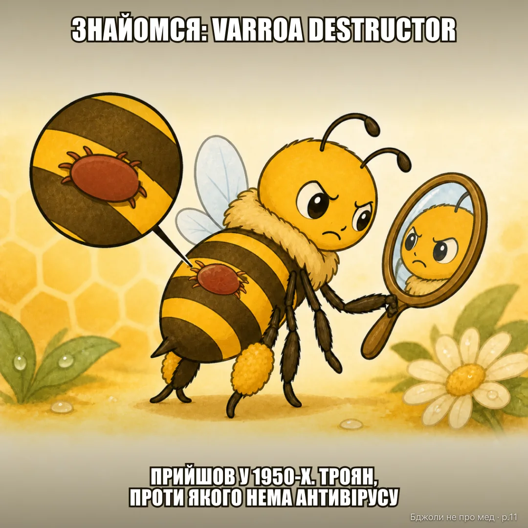 Поява лиходія: 1: Ти думав, головна проблема бджіл — просто «щось не так у природі» 2: Ні. Це кліщ Varroa destructor. Прийшов з Азії у 1950-х, перестрибнув на нашу бджолу — і лишився 3: В азійської родички є прийом проти нього. У нашої — здебільшого немає. Тому вароа тут — як троян, для якого нема антивірусу