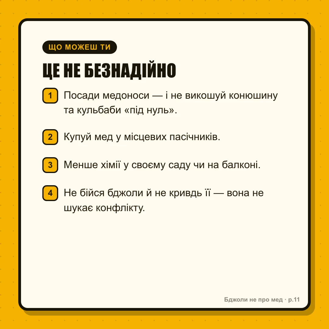 Чек-лист: Це не безнадійно. Ось що реально працює: ☐ Посади медонос — і не викошуй конюшину/кульбабу «під нуль» ☐ Купуй мед у місцевих пасічників ☐ Менше пестицидів у власному саду чи на балконі ☐ Не бійся бджоли й не вбивай її Жужа не попросить подяки. Але кожен крок — на одну причину менше в тому списку.