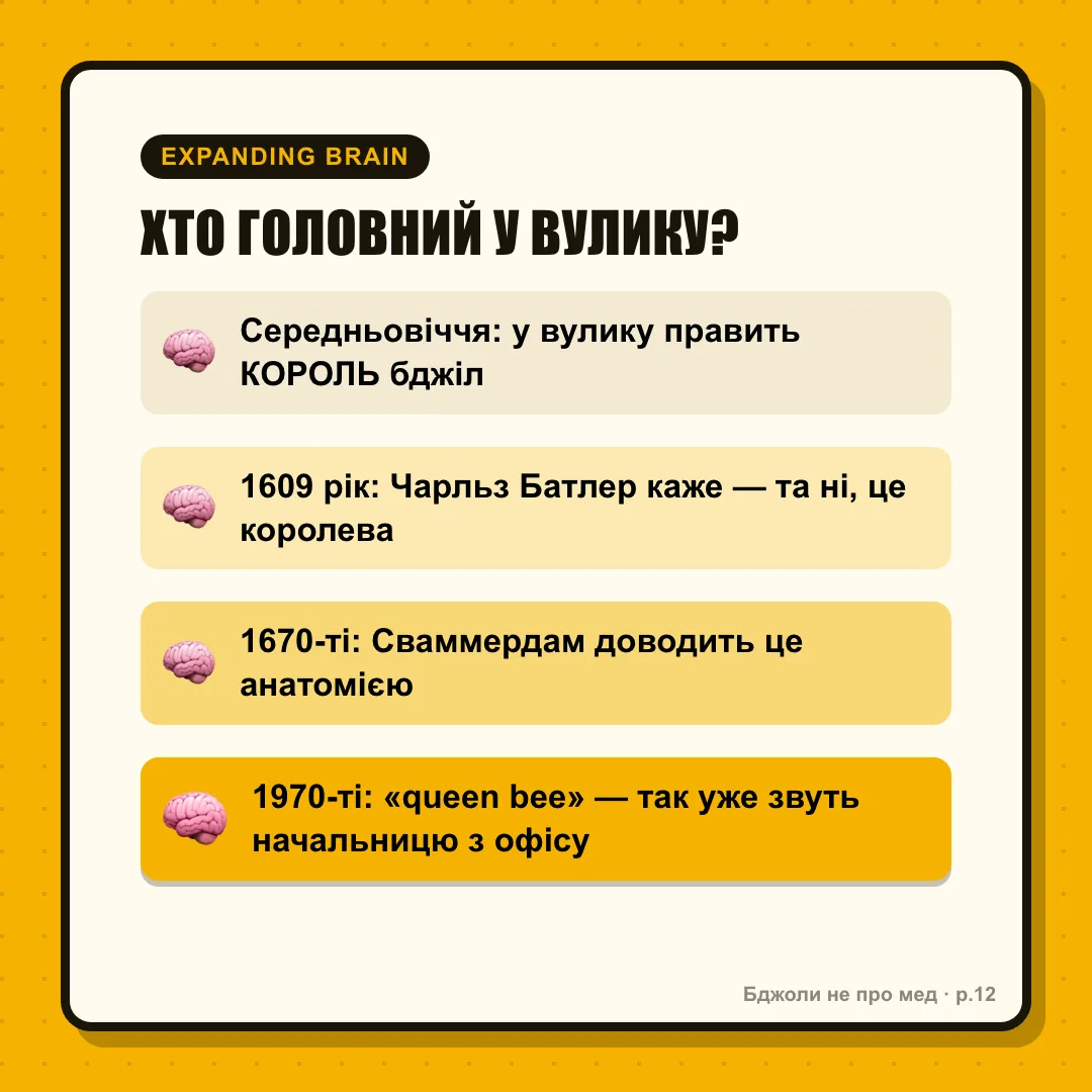 Expanding brain: 1: «Середньовіччя: у вулику головує КОРОЛЬ бджіл» 2: «1609: Чарльз Батлер каже — та ні, це королева» 3: «1670-ті: Сваммердам довів це анатомією» 4 (галактика): «1970-ті: 'queen bee' — тепер так звуть ту начальницю з опенспейсу, що всіх строїть і забирає лаври»