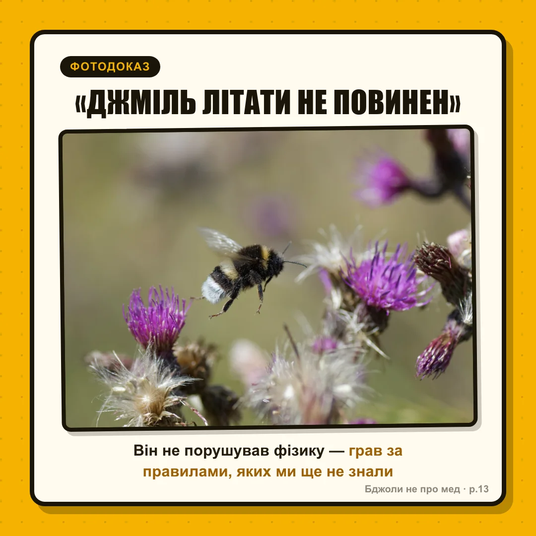 Фотодоказ: 1: «Легенда №1: “Джміль літати не повинен”» 2: «Правда: хтось порахував його крило за формулою нерухомого крила літака. Формула для літаків. Не для крил, що б'ються» 3 (уповільнене крило): «Крило крутиться й ловить вихори на передній кромці — трюк складніший за будь-яку “магію”» ФІНАЛ: «ВІН НЕ ПОРУШУВАВ ФІЗИКУ. ВІН ГРАВ ЗА ПРАВИЛАМИ, ЯКИХ МИ ЩЕ НЕ ЗНАЛИ. bee did that.»